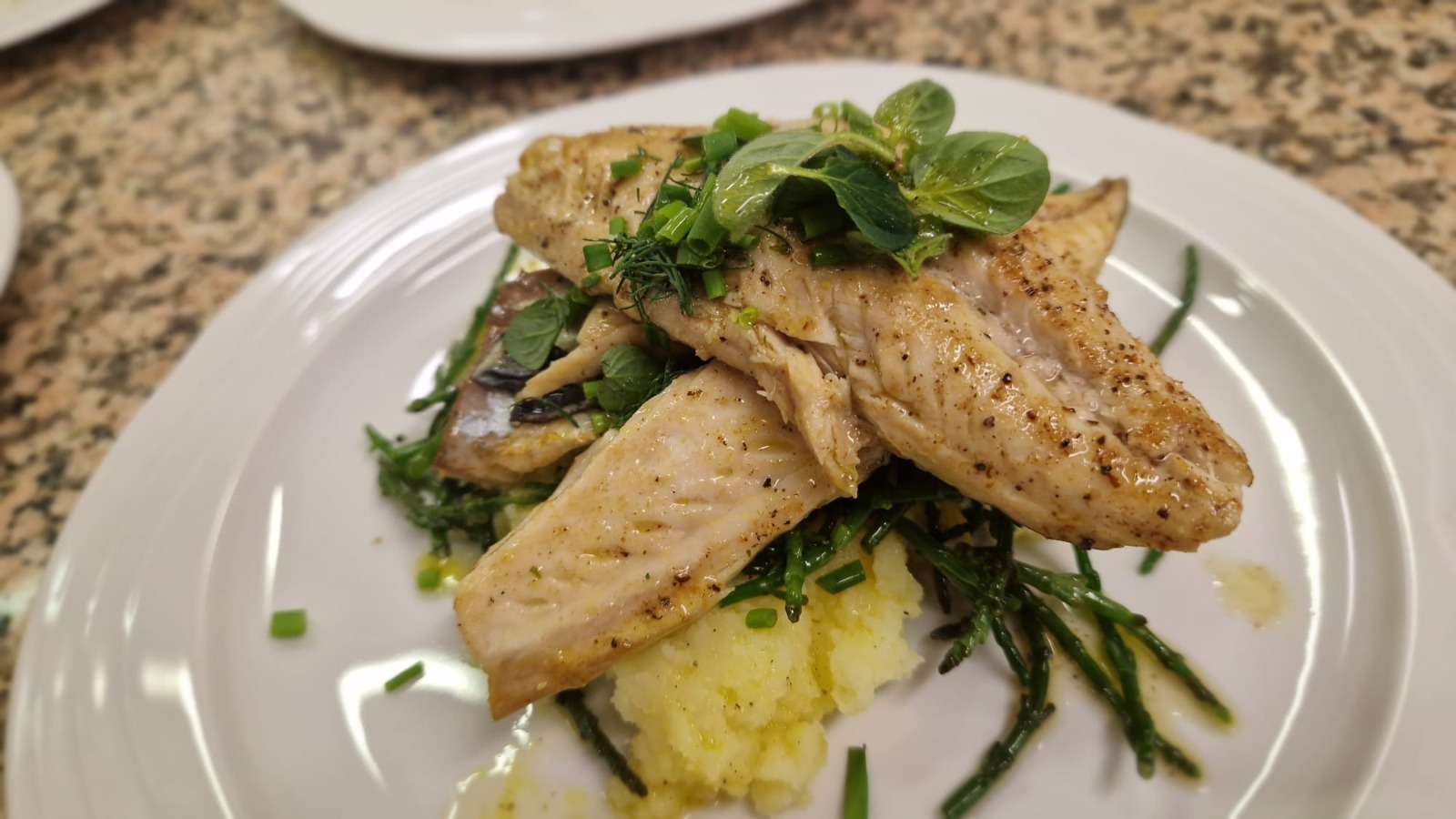 20250924 Makrelenfilet